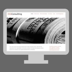 Esg Consulting bespoke built website designed by Michelle Abadie