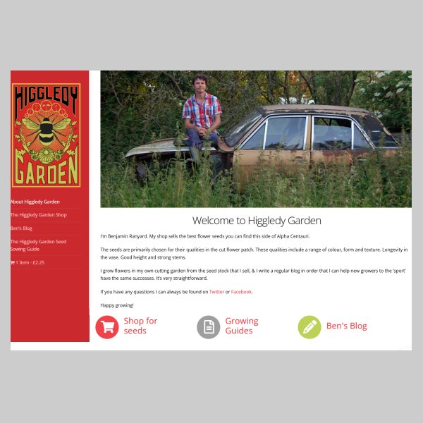 web_hig_w2